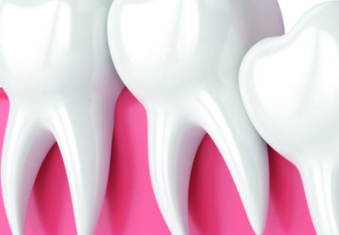 Răng khôn có tác dụng gì? Có nên nhổ răng khôn?